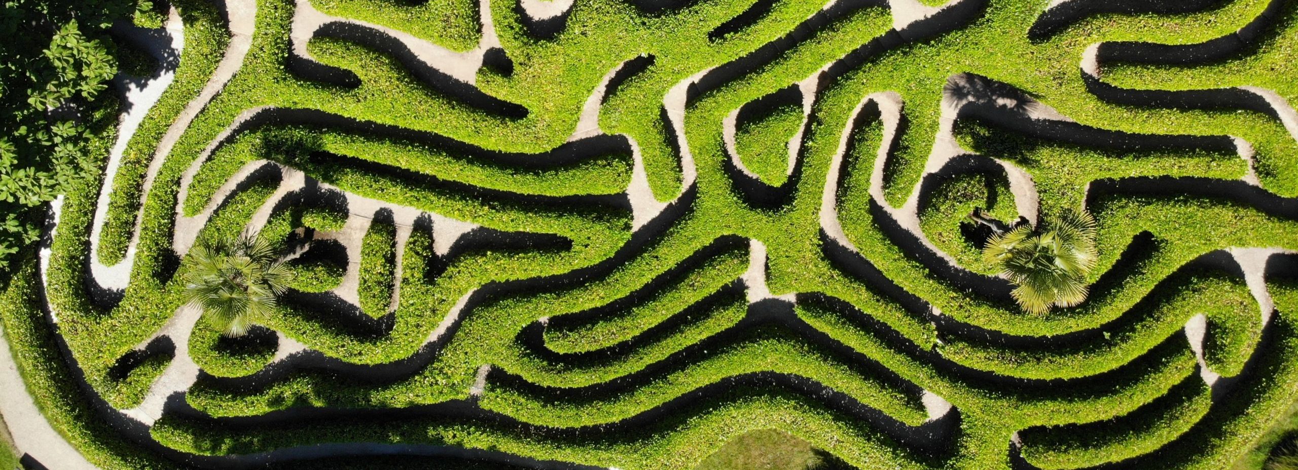 An aerial view of a maze